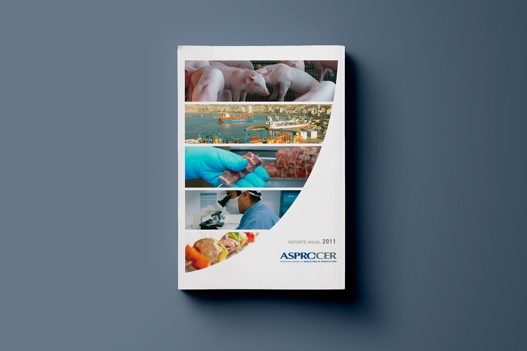 Reporte anual ASPROCER 2011