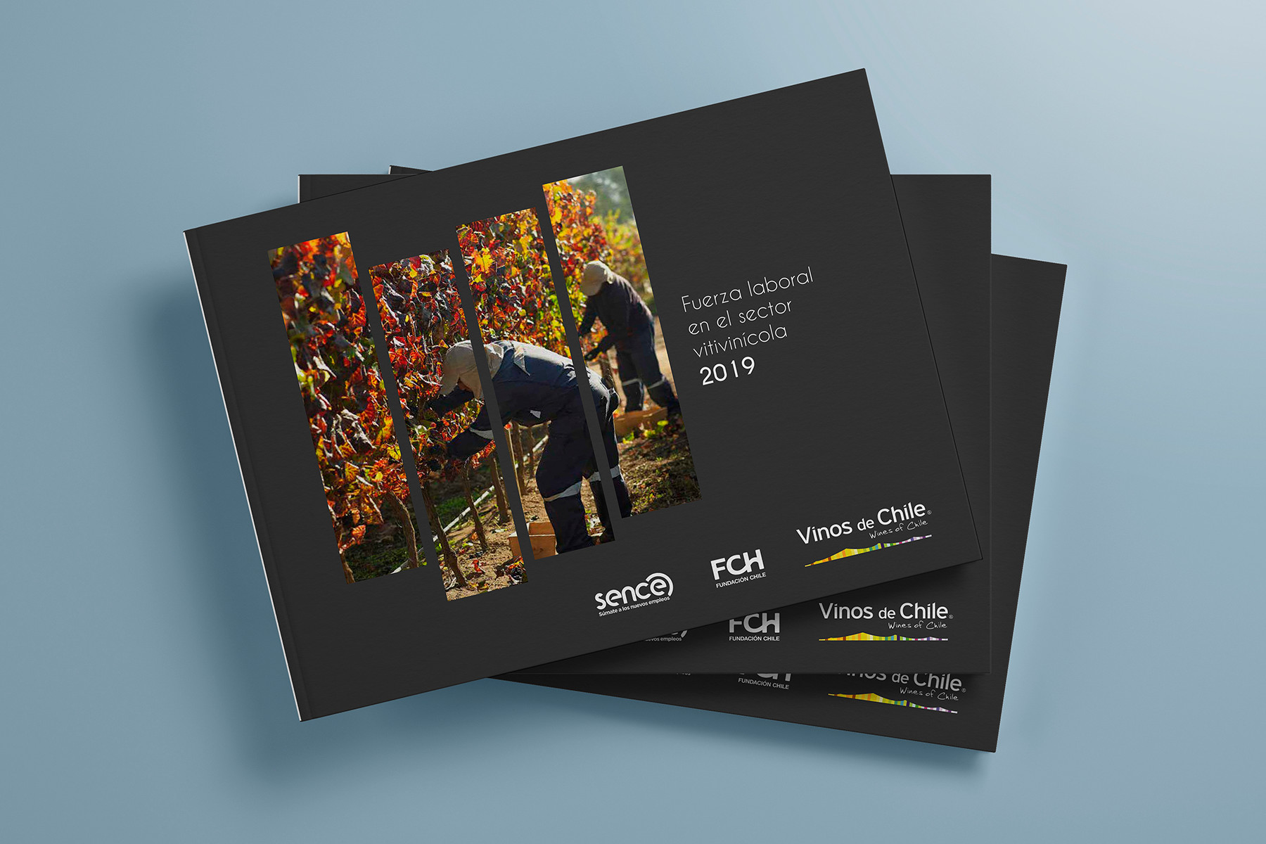 Fuerza laboral en el Sector Vitivinícola 2019