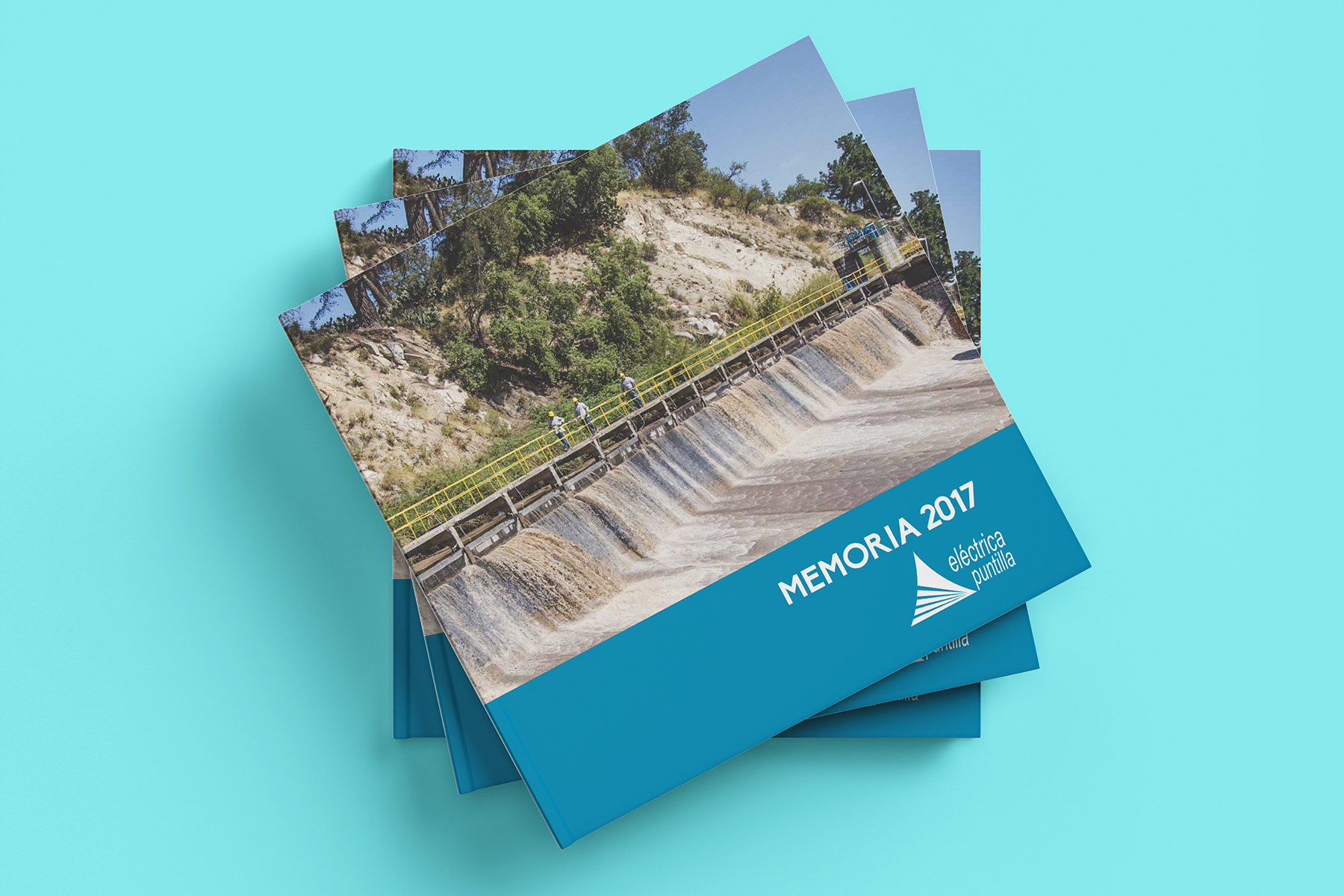 Memoria anual Eléctrica Puntilla 2017