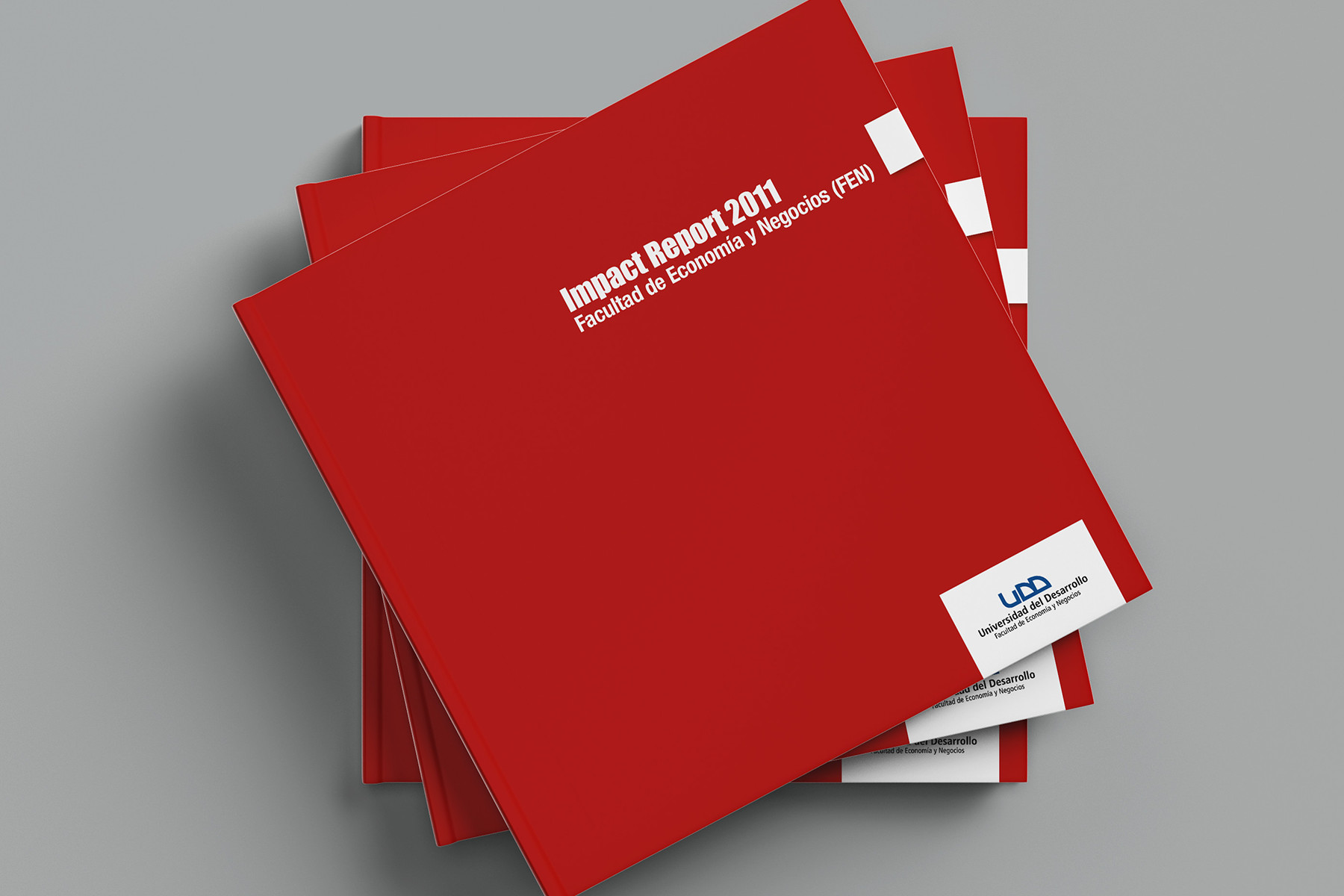 Impact Report UDD 2011