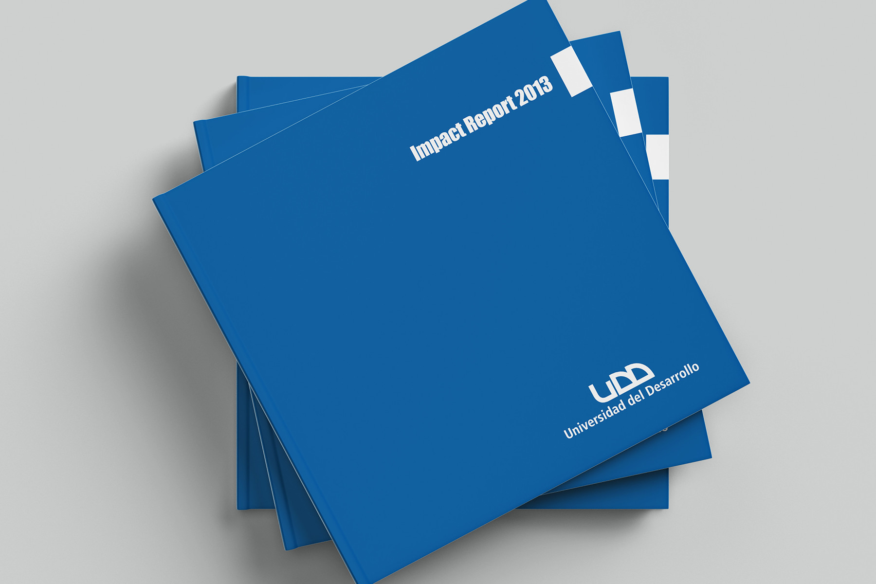 Impact Report UDD 2013