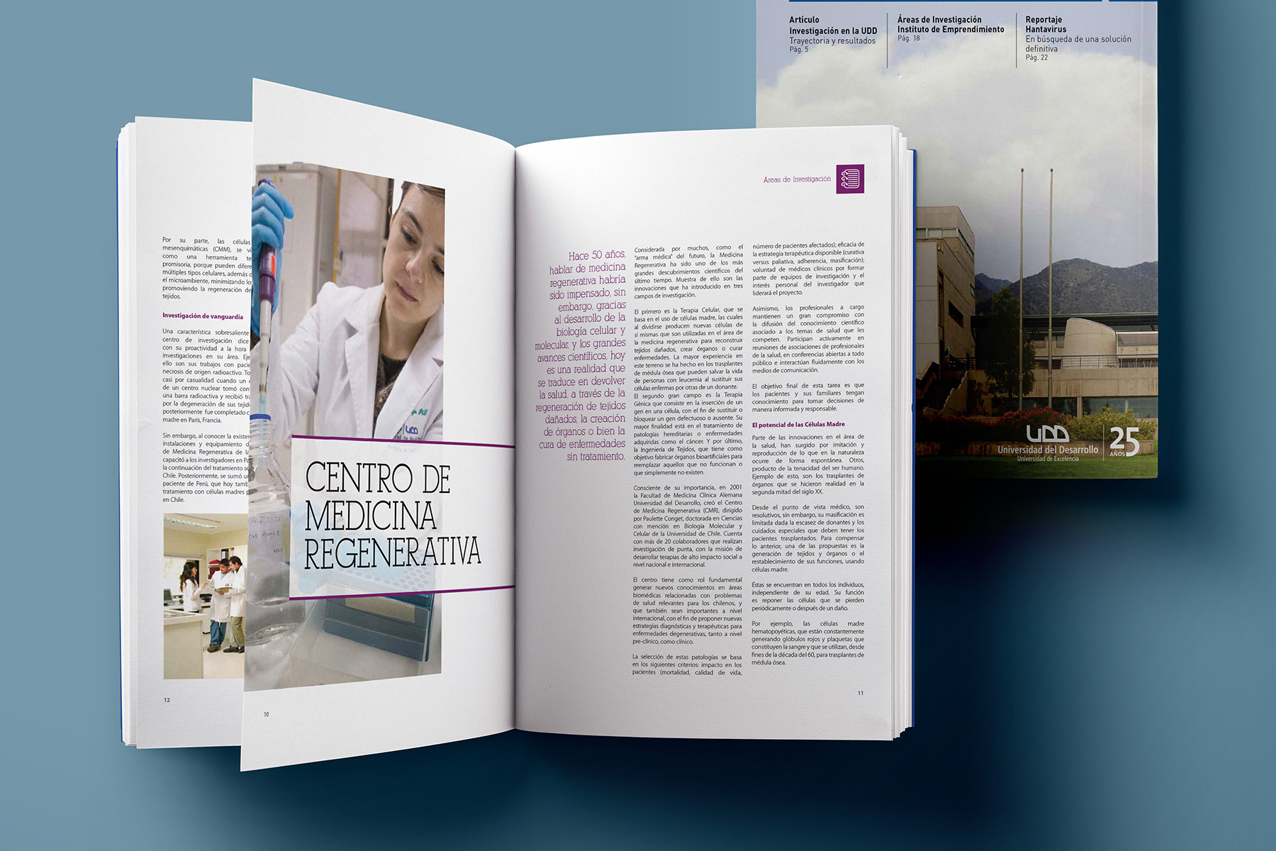 Revista investigación UDD 2015