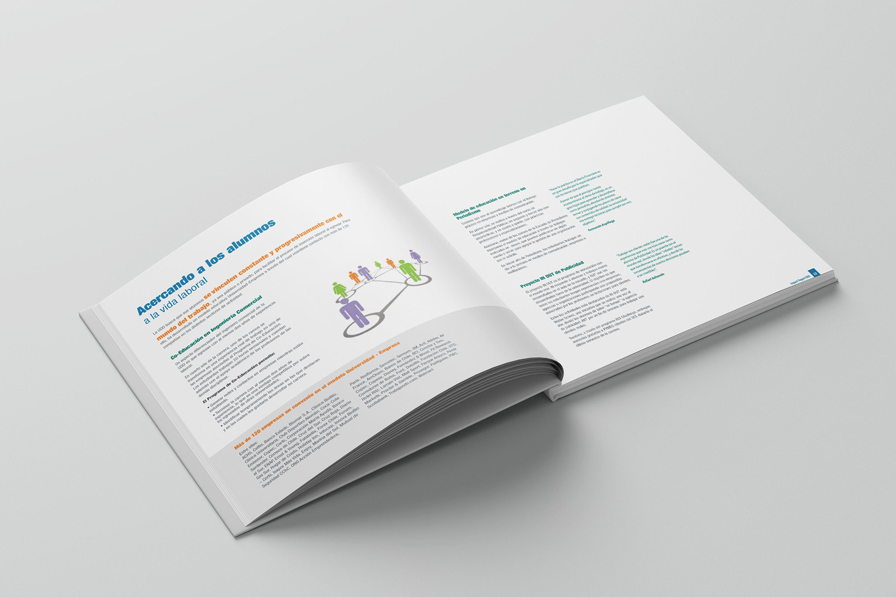 Impact Report UDD 2013