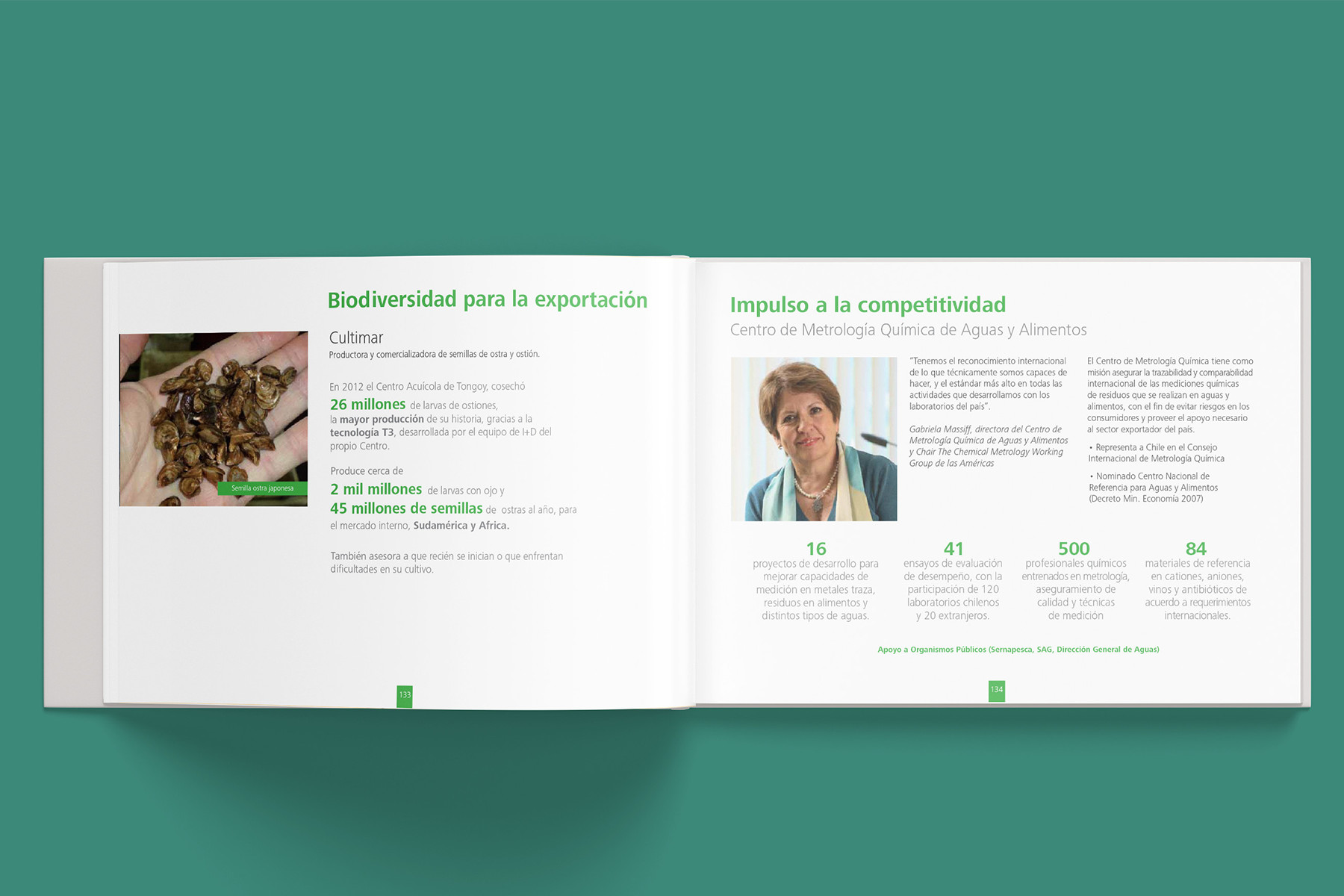 Impact Report Fundación Chile 2012