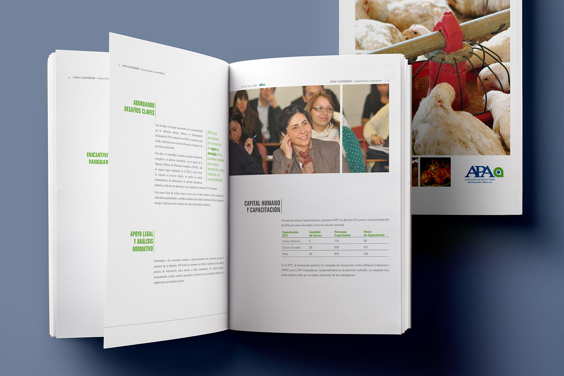 Reporte anual APA 2011