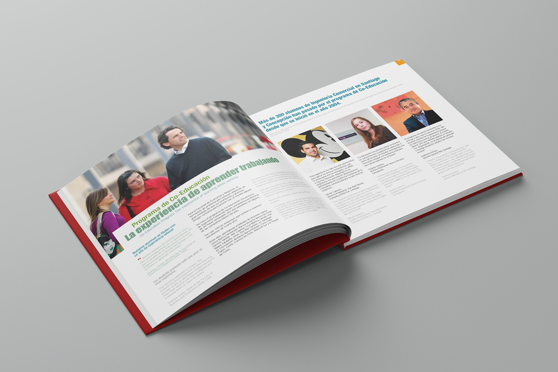 Impact Report UDD 2011