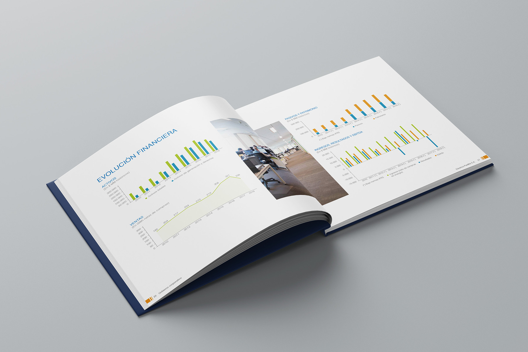 Memoria anual Eléctrica Puntilla 2018