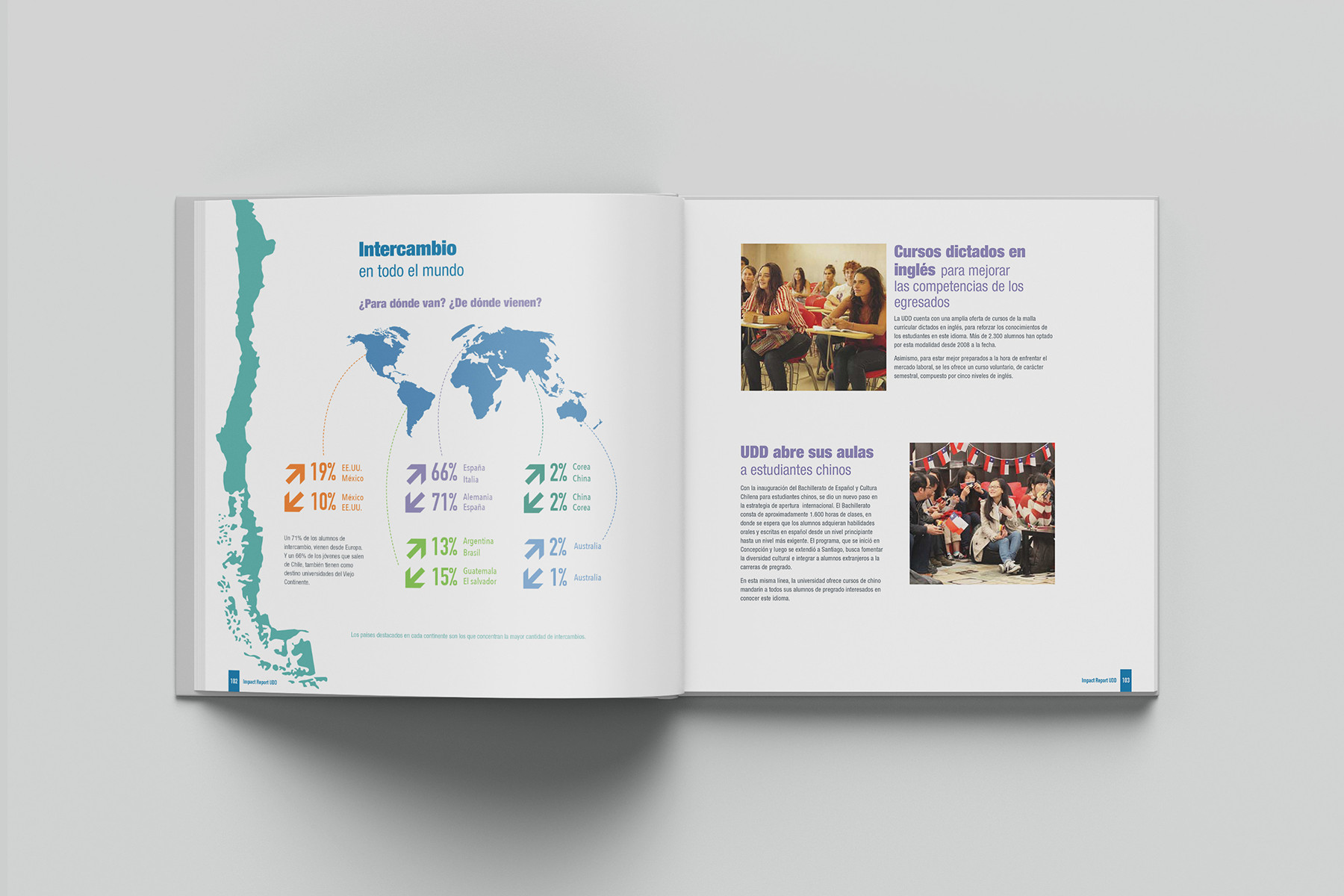 Impact Report UDD 2013