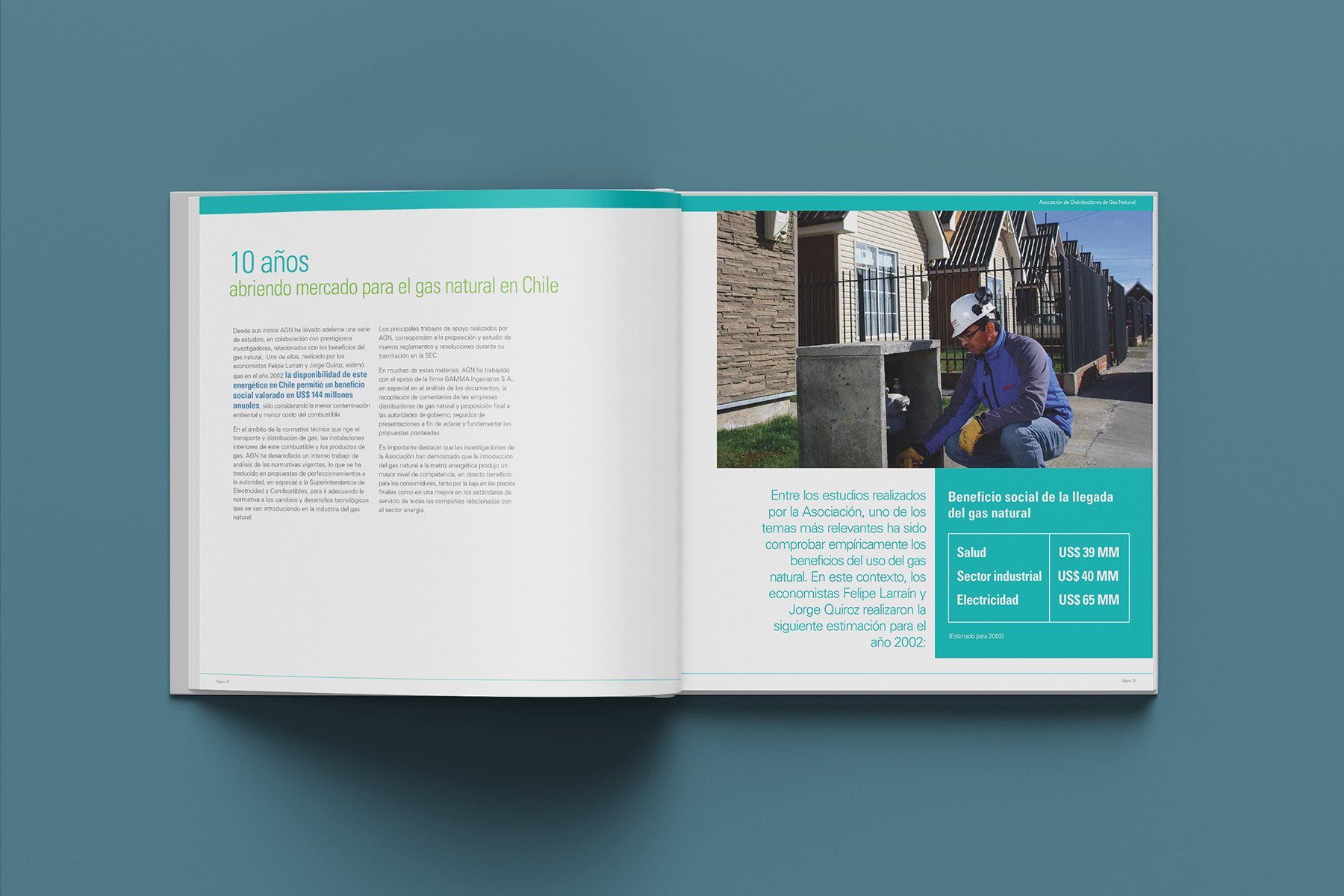 Reporte anual AGN 2012