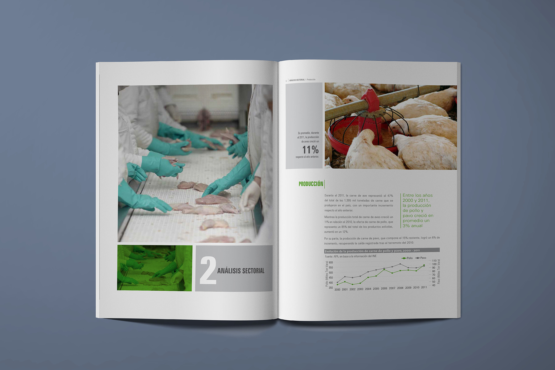 Reporte anual APA 2011