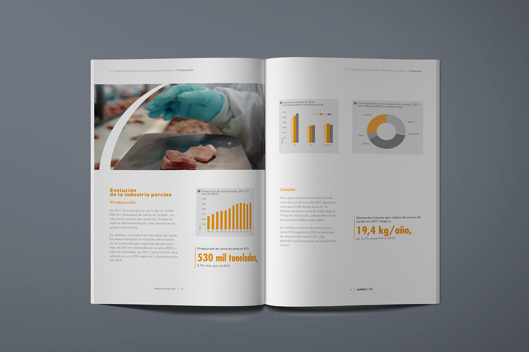 Reporte anual ASPROCER 2011