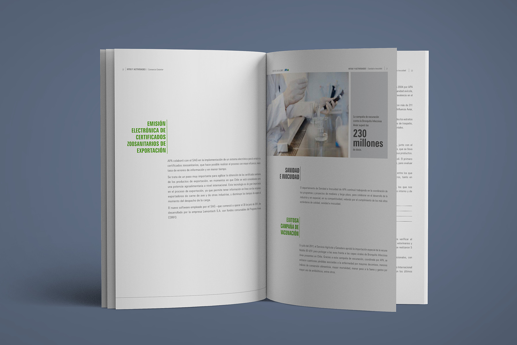 Reporte anual APA 2011