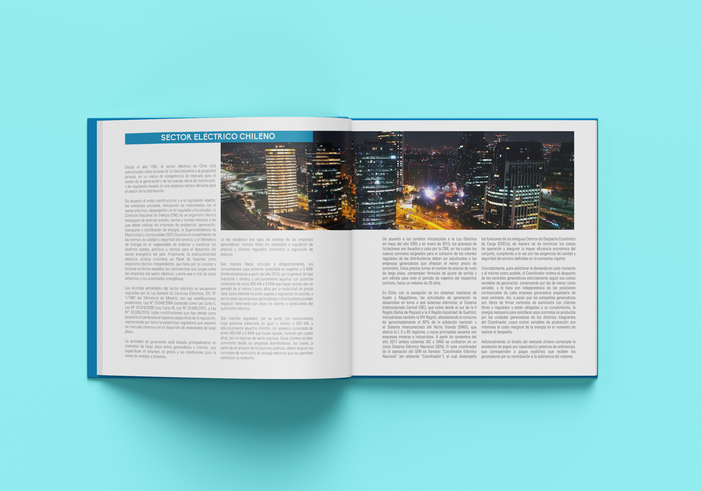 Memoria anual Eléctrica Puntilla 2017