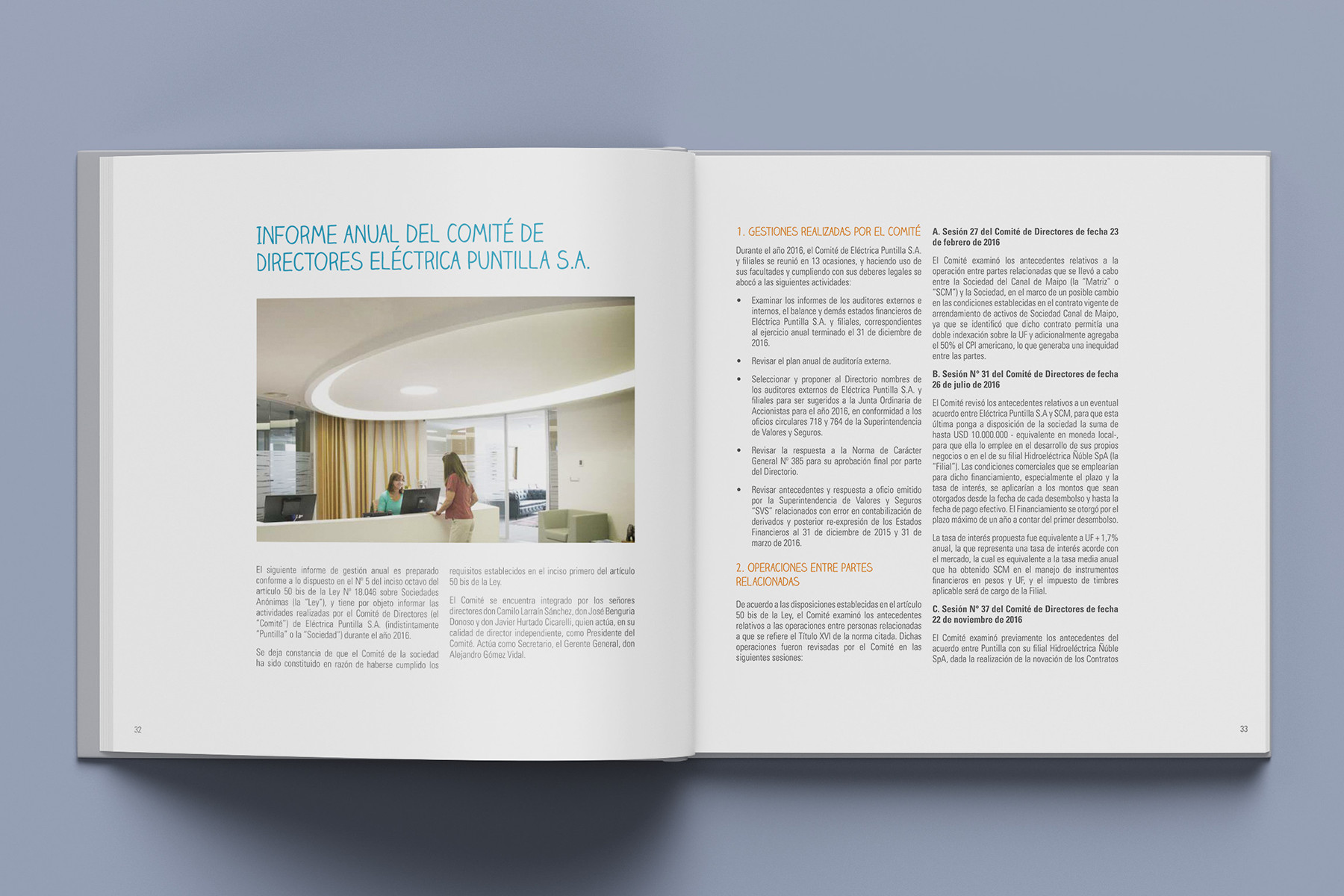 Memoria anual Eléctrica Puntilla 2016