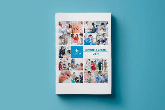 Memoria anual Clínica INDISA 2019
