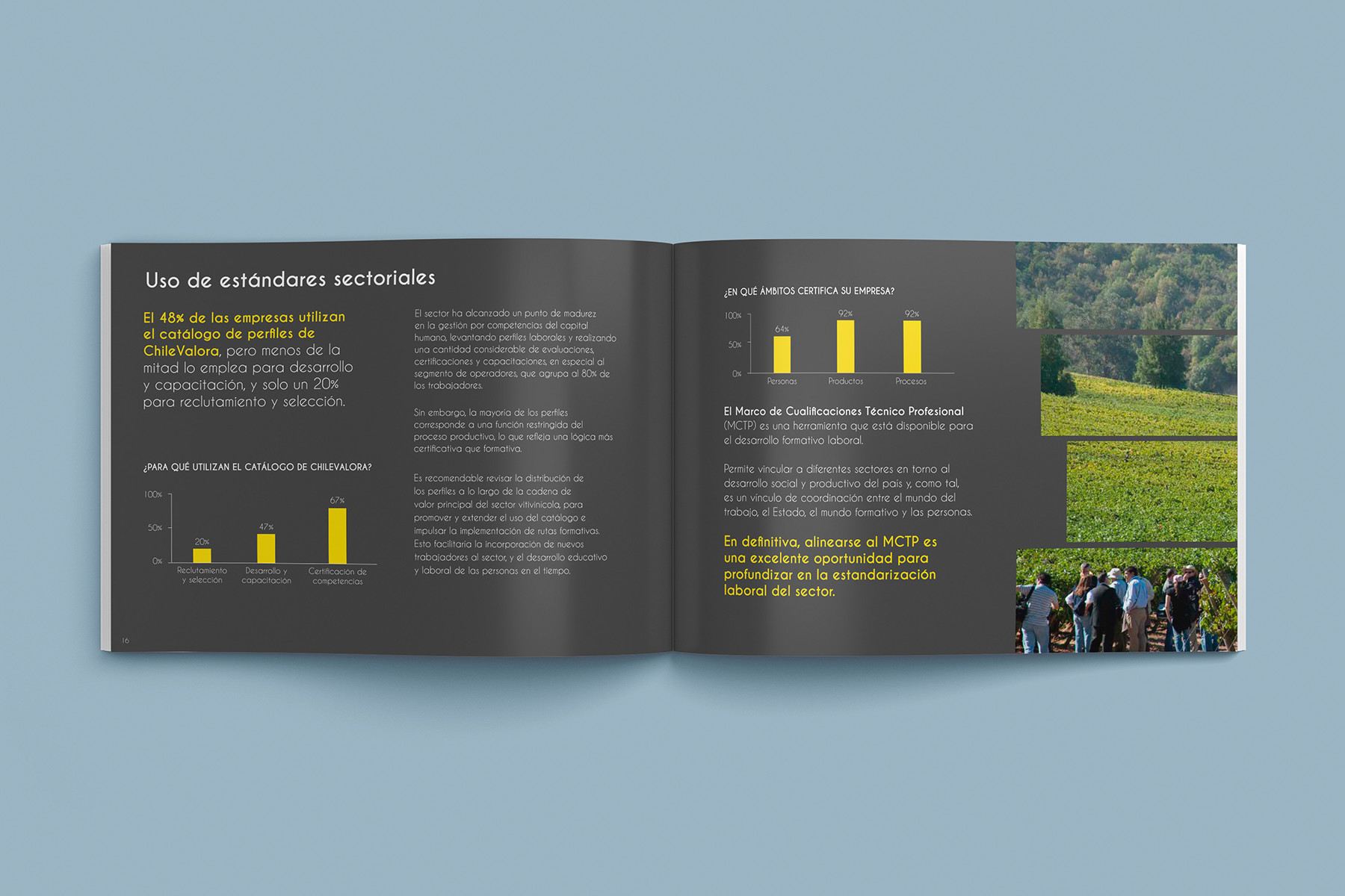 Fuerza laboral en el Sector Vitivinícola 2019