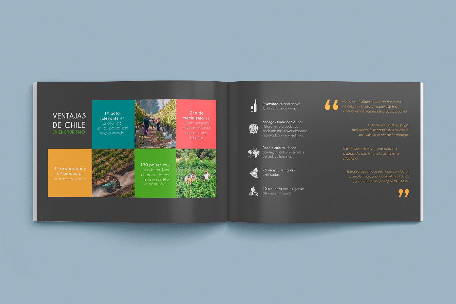 Fuerza laboral en el Sector Vitivinícola 2019